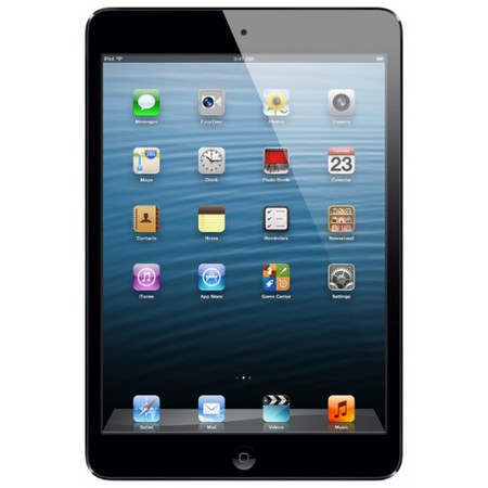 Apple iPad mini 64Gb Wi-Fi черный - Петрозаводск
