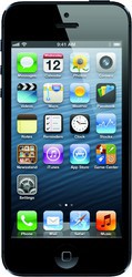 Apple iPhone 5 64GB - Петрозаводск