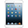 Apple iPad mini 16Gb Wi-Fi + Cellular черный - Петрозаводск